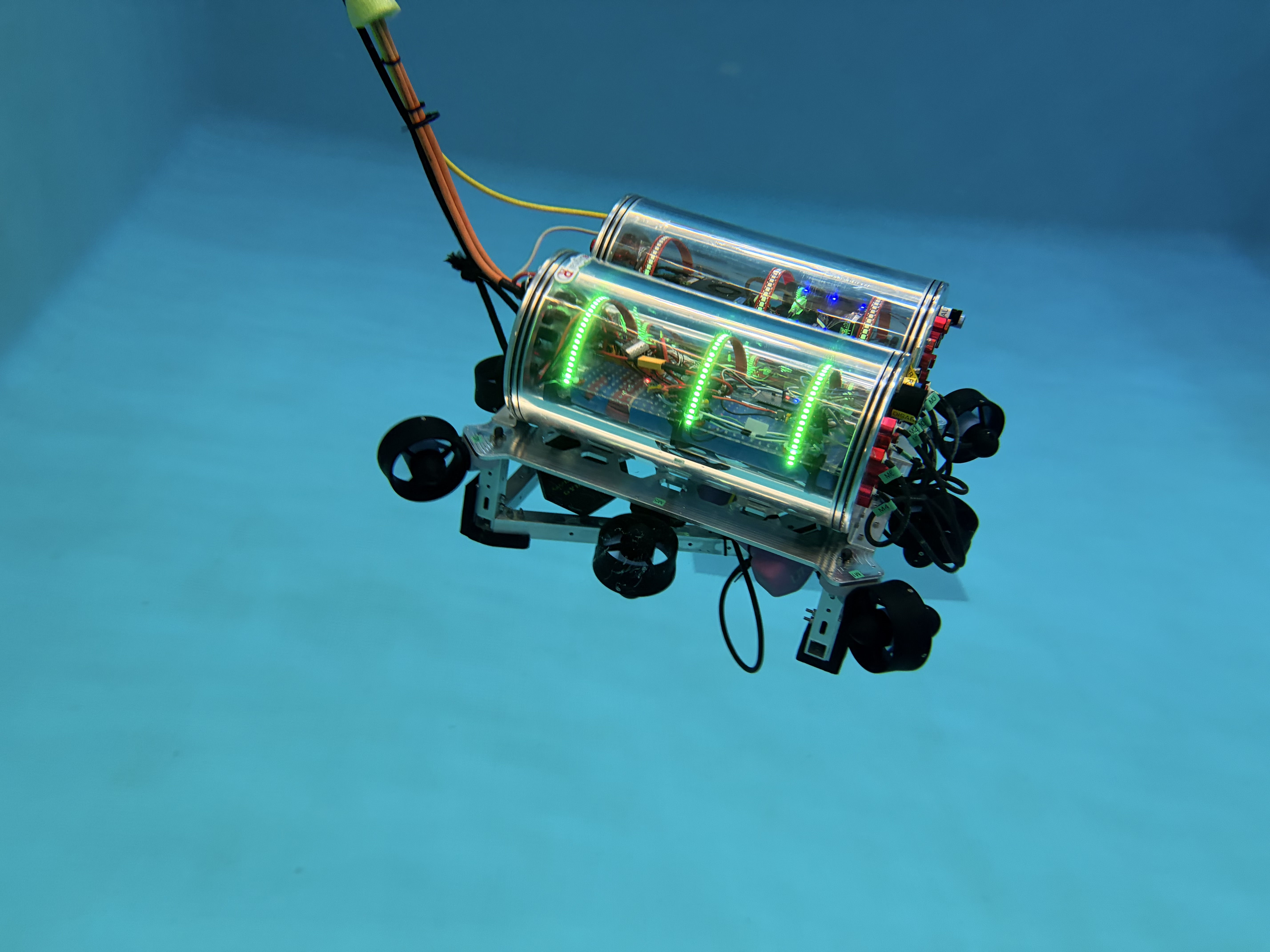 Guppy